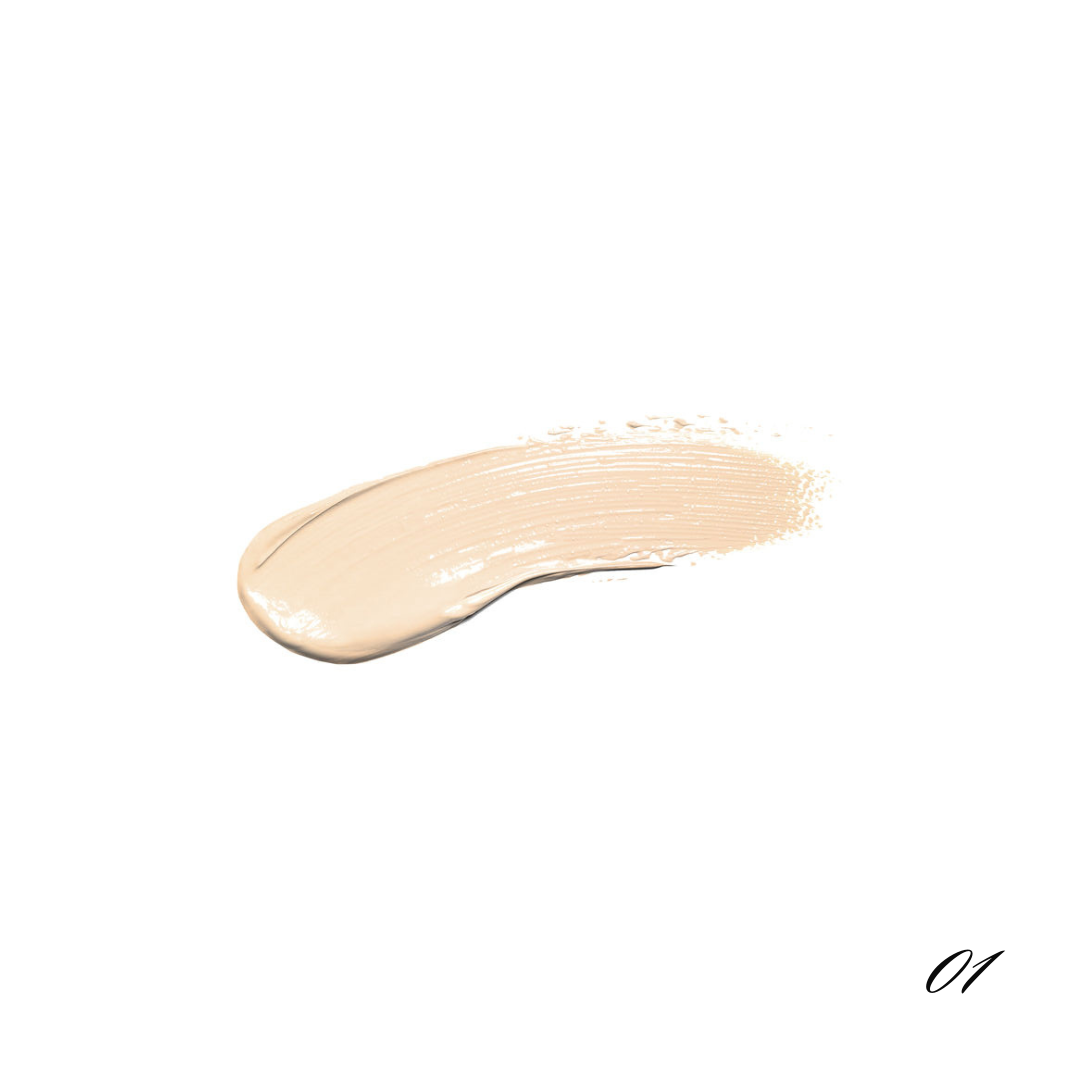 Pro Full Coverage Concealer -01