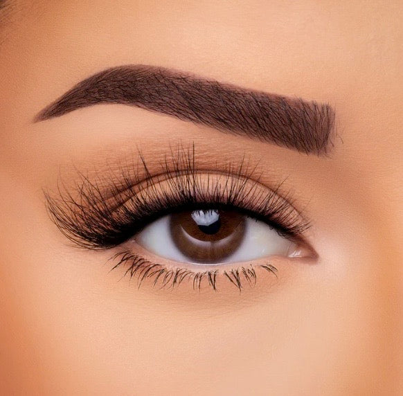 Hollywood Mink Lash