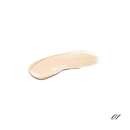 Pro Full Coverage Concealer -01